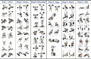 gym workout schedule for men pdf gym workout plan pdf medicallyinfo