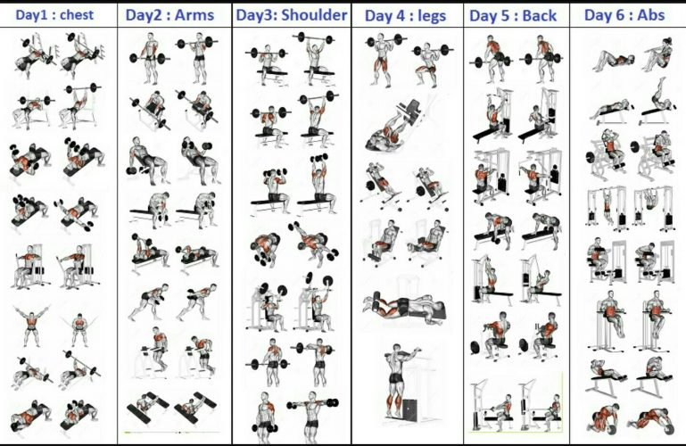 6-day-gym-workout-schedule-pdf-for-beginners-gym-workout-plan-pdf