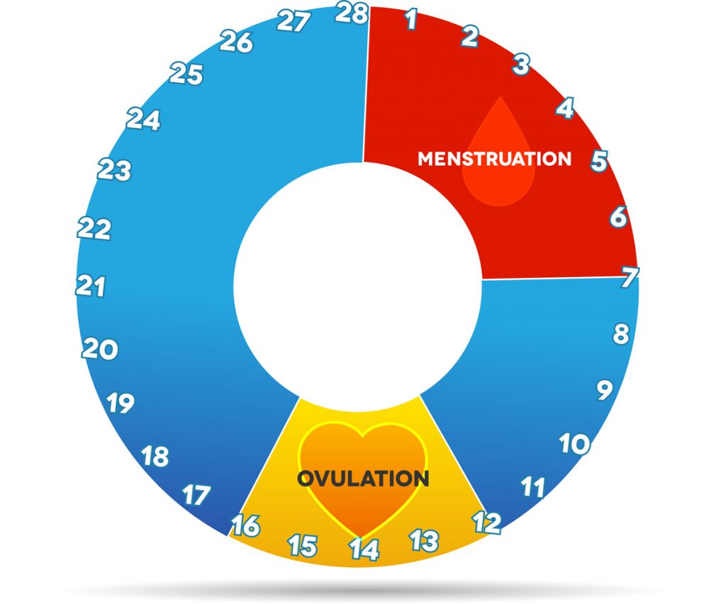 Women'S Menstrual Calendar - Shel Yolane