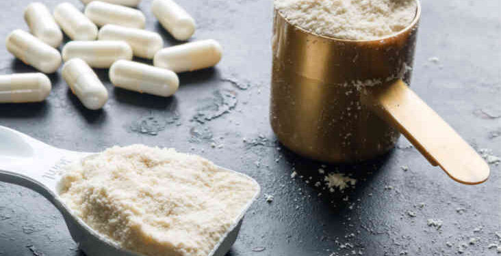 Protein Pills for Weight Loss: What To Know