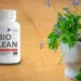 biolean garcinia review