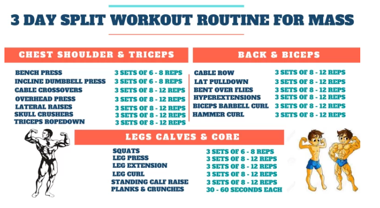 3 Day A Week Full Body Workout Routine 3 Day Split Workout